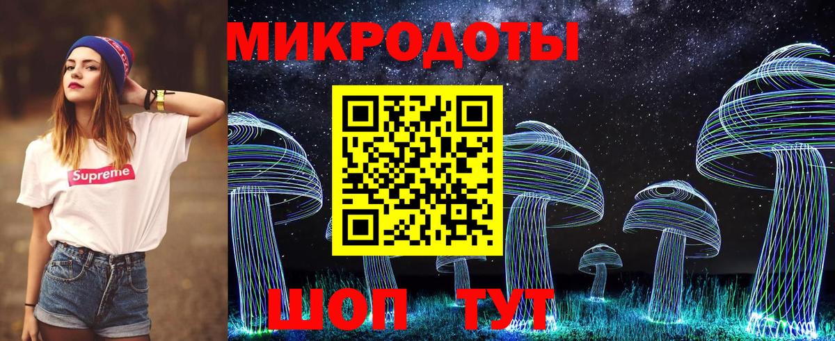 Галлюциногенные грибы Psilocybine cubensis Уссурийск