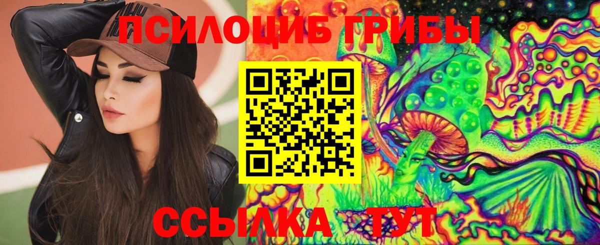 Псилоцибиновые грибы Psilocybe  Псилоцибиновые грибы GOLDEN TEACHER  Уссурийск  Вход с VPN 